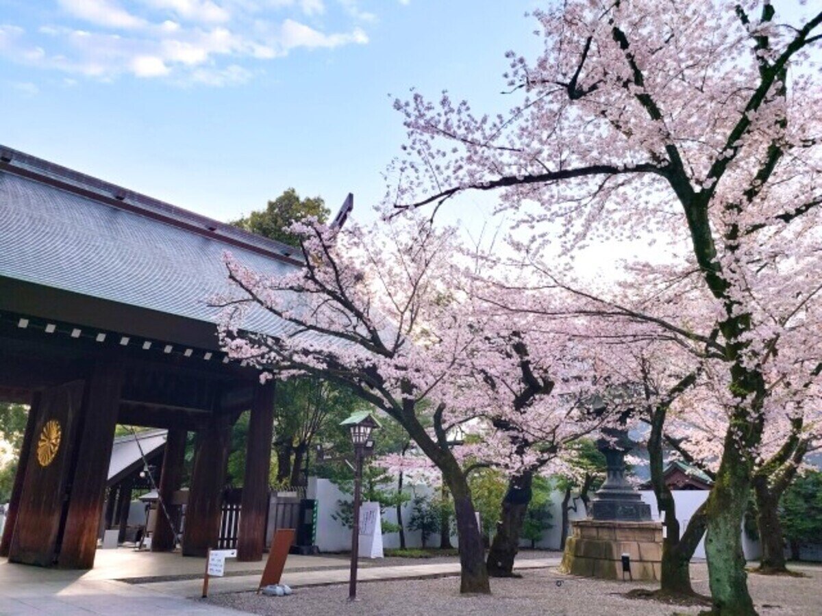 ⛩️ 야스쿠니 신사 (靖國神社) 이미지 5